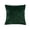 Green, variant on SLYNSHome Fall Throw Pillow with Insert,Orange Embossed Maple Leaf 45x45 cm Soft Plush Cushion, Autumn Decorative Pillow for Sofa Couch Living Room Thanksgiving Home Decor
