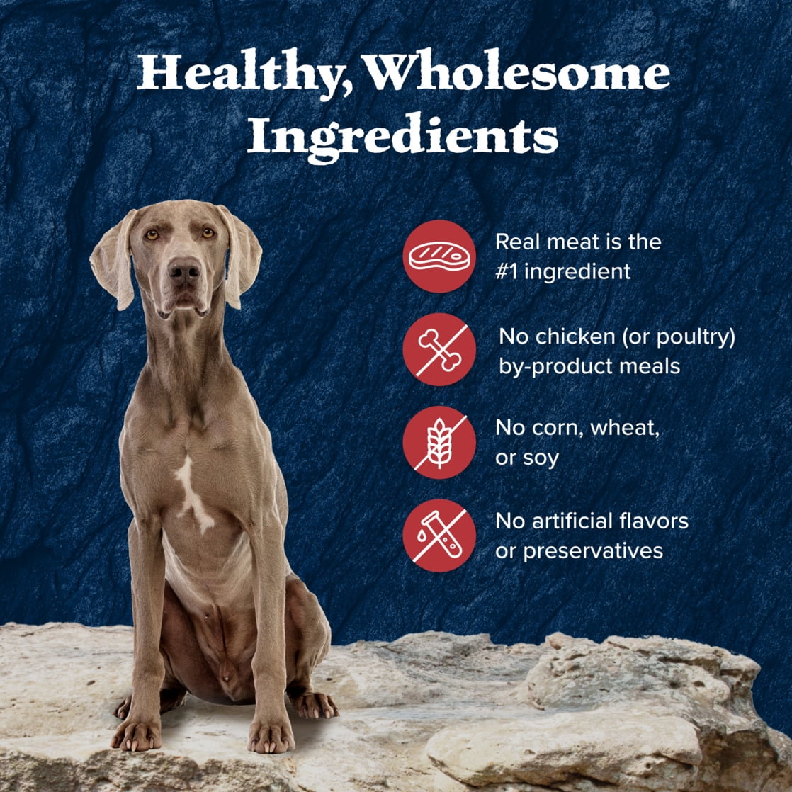Blue Buffalo Wilderness Rocky Mountain Recipe Senior Wet Dog Food, Red Meat Recipe, 12.5-oz Cans (12 Count)