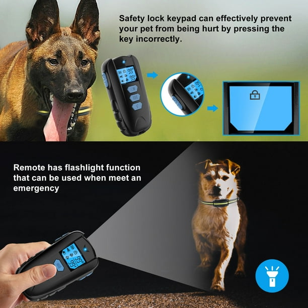 How to use cheap a shock collar effectively