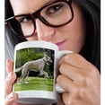 thumbnail image 2 of 3drose, an Irish Wolfhound Dog Running in a Park - Na02 Zmu0109 - Zandria Muench Beraldo, 11oz Mug, 2 of 6