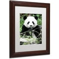 thumbnail image 2 of Trademark Fine Art "Giant Panda" Canvas Art by Philippe Hugonnard, White Matte, Wood Frame, 2 of 4