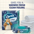 thumbnail image 4 of (6 pack) Charmin Flushable Wipes, 2 Flip-Top Packs, 40 Wipes per Pack, 80 Total Wipes, 4 of 9