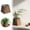 Brown, variant on Natural Wicker Flower Pots with Liner Handwoven for Indoor Outdoor Cottage Garden Home Entryway Living Room Bathroom Display Yellow 16x16x15 cm