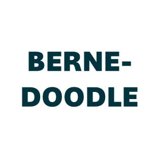 Bernedoodle Pill Butter