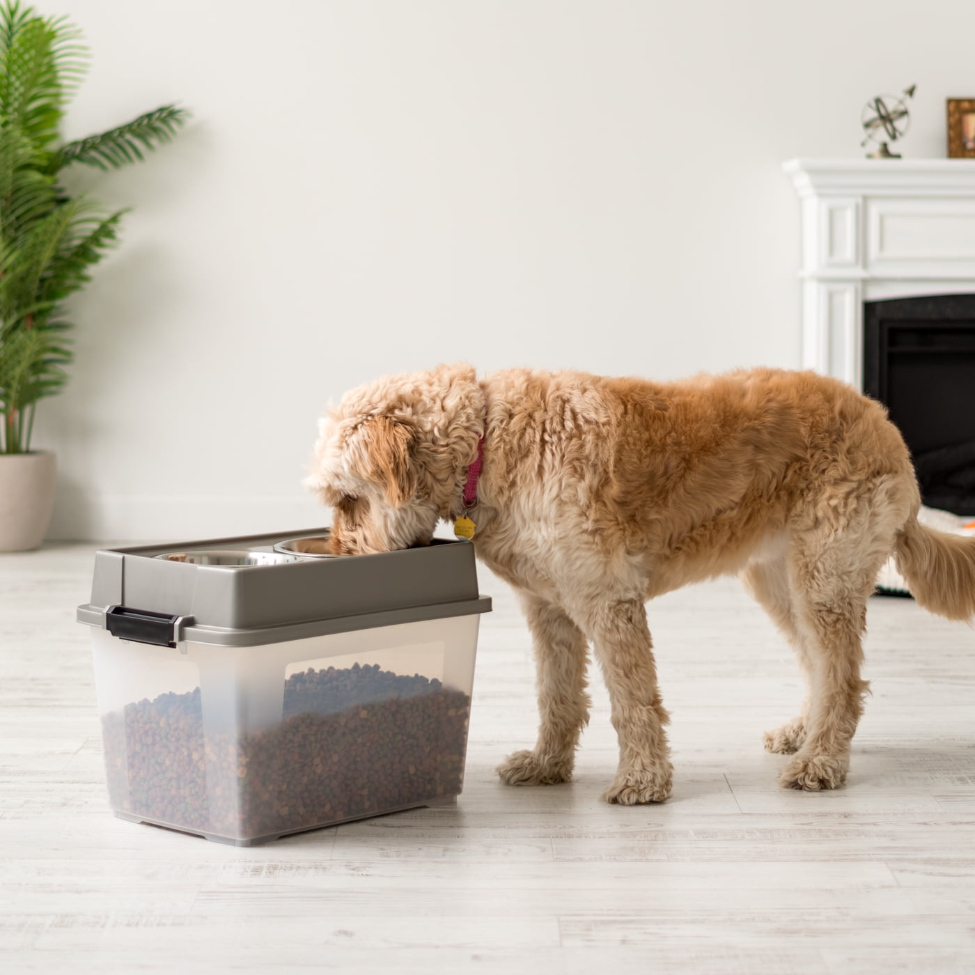 IRIS USA 47lbs/45qt Large Elevated Dog Food Bowl with Airtight Pet Food Storage Container, Chrome