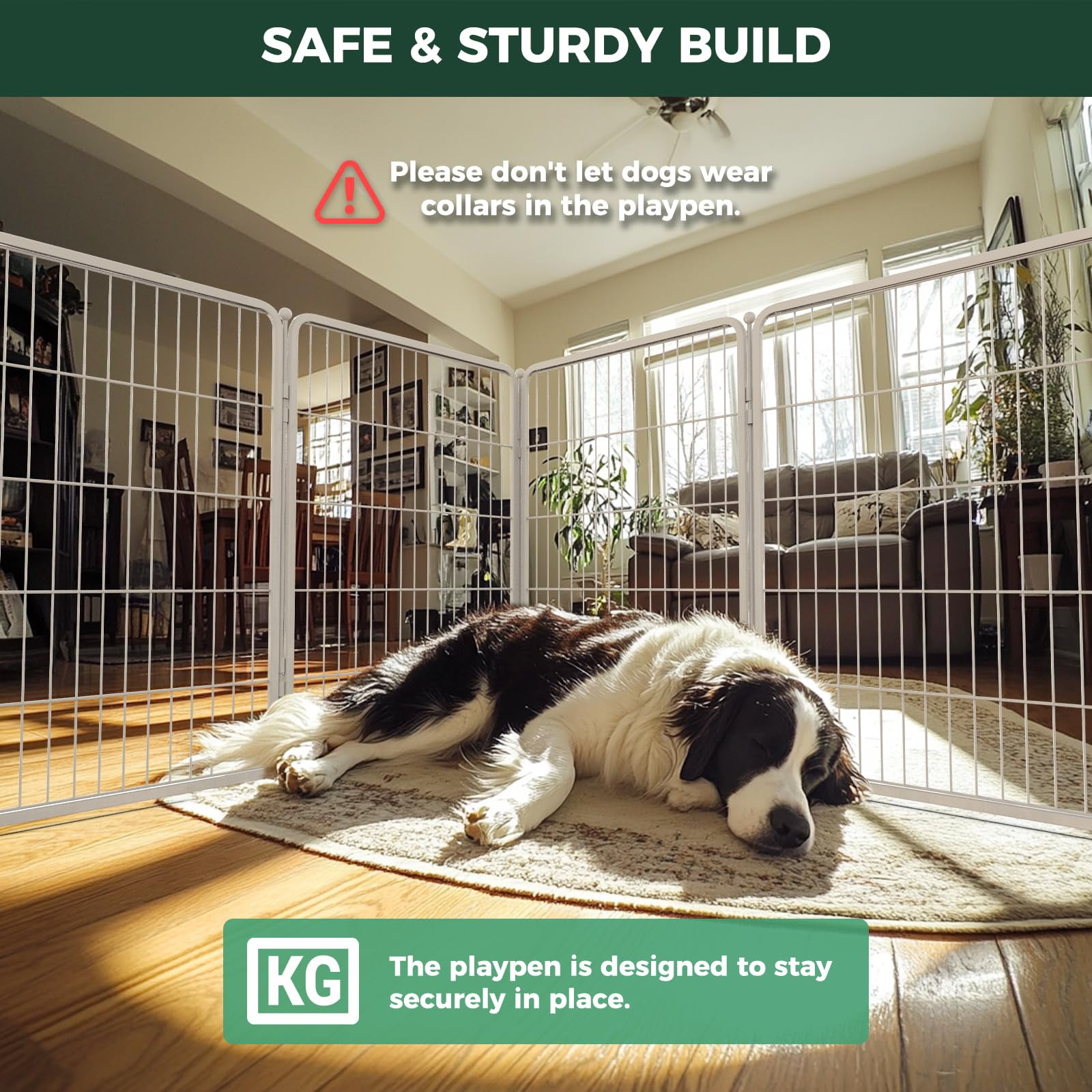 FXW Homeplus Indoor Dog Playpen, 6 Panels 40