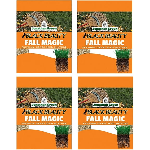Jonathan Green 10765 Fall Magic Grass Seed Mix, 3 Pounds 4 Pack