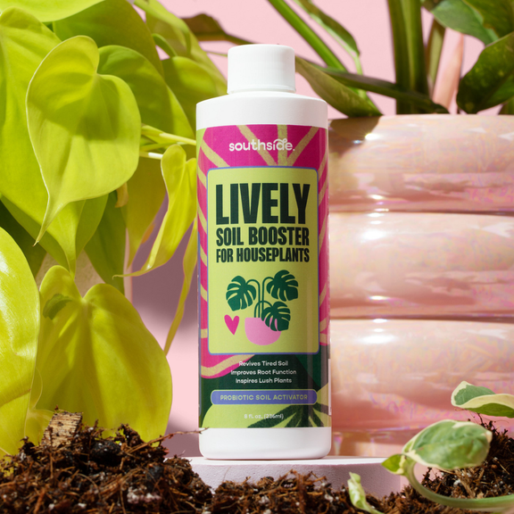 Southside Plants Lively Soil Booster for Houseplants