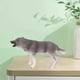 thumbnail image 5 of Simulación Wolf Figurines Zoo Miniatura Wolves BPA Modelo PlaySet Coleccionables 3-8 , Yotijar Figuras de lobo, 5 of 10