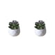 thumbnail image 2 of Billuyoard Simulación de plantas suculentas artificiales, bonsái, arreglo en maceta de flores falsas, paisaje, sala de estar, de fiesta en casa Type1 NO1, 2 of 6
