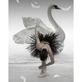 thumbnail image 2 of Mieke 15x18 Black Ornate Wood Framed with Double Matting Museum Art Print Titled - Swan Lake, 2 of 4