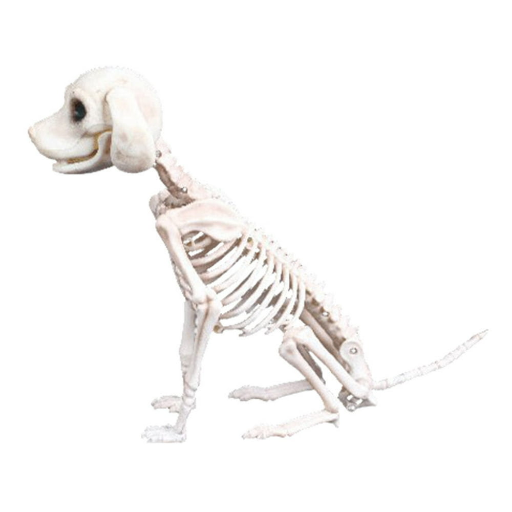 Halloween Skeleton Dog Prop Animal Bones Party Shop Decoration Horror