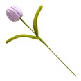 thumbnail image 1 of Flor de tulipán artificial preservada hecha a mano, terminada y hecha a mano, ideal como regalo para mujeres, amantes, aniversarios, día de la madre., 1 of 8