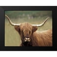 thumbnail image 2 of Delimont, Danita 14x12 Black Modern Framed Museum Art Print Titled - Highland Afternoon, 2 of 5