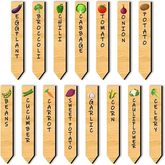 15 Pcs Vegetable Plant Name Tag Tomato Potato Onion Eggplant Wood Plant Markers with Patterns Garden Labels Sign for Vegetable