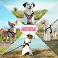 thumbnail image 7 of PcEoTllar No Pull Dog Harness and Leash Set, Adjustable Reflective Step in Dog Harness for Small Dogs, Pink XS, 7 of 7