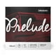 thumbnail image 1 of Cuerda para violonchelo D'Addario Prelude A, escala 4/4, tensión media, 1 of 5