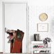 thumbnail image 2 of 3D Large Dinosaur Wall Decals Creative Broken Door Wall Stickers, Children Kids Baby Home Room Nursery DIY Decorative Adhesive Art Wall Mural, 2 of 4