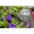 thumbnail image 6 of (2 pack) Mainstays 12 inch Round Plastic Self Watering Globe for Planters, 6 of 6