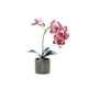 thumbnail image 1 of Inteprter Bonsái de orquídeas artificiales Phalaenopsis en maceta para el hogar, jardín, de planta falsa realista para decoración de bodas al Decoración Rosa roja Inteprter HA084197-04, 1 of 6