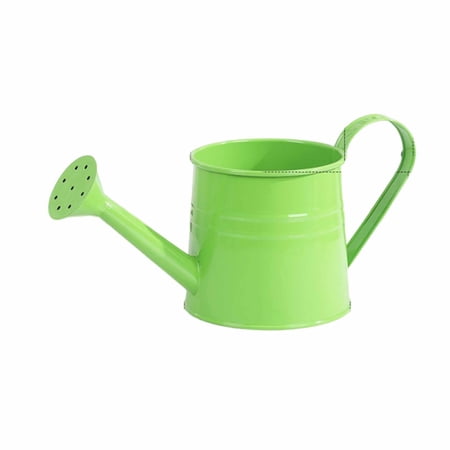 35 OZ/1000 ML Small Mteal Watering Can Spring Gardening Tool Accessories Lightweight Iron Sprinkling Can With Handle for Indoor Potted Plants Outdoor Patio & Garden Flower Pots Care (Green)