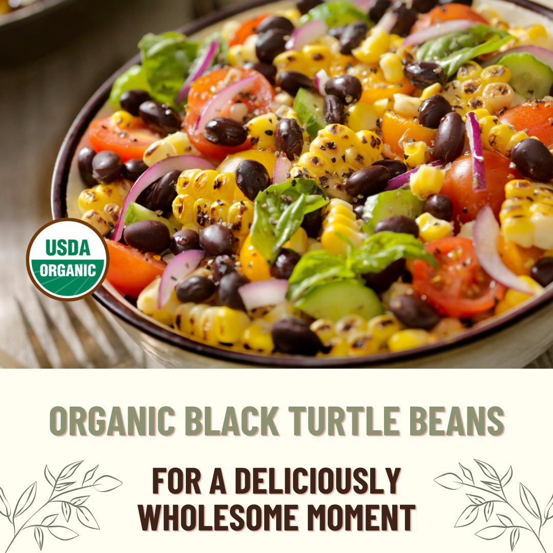 Black Bean Turtle, 40LB Emergency Bucket, USA Grown, USDA Certified Organic & GMO Free, Sustainable Farming Practices-Mountain High Organics