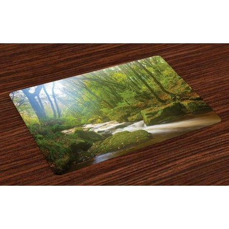 Woodland Placemats Set of 4 Forest Scene at Golitha Falls Nature Reserve on the River Fowey Cornwall England, Washable Fabric Place Mats for Dining Room Kitchen Table Decor,Green Brown, by (Best Places In New England For Fall Foliage)