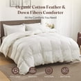 Year-round Queen (U.S. Standard) Goose Down Fiber Comforter Cotton ...