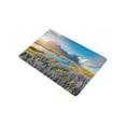 thumbnail image 2 of CADecor Blooming Purple Lupine Flowers Door Mat Home Decor, Icelandic Coast Nature Landscape Indoor Outdoor Entrance Doormat 23.6x15.7 Inches, 2 of 2