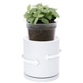 thumbnail image 2 of Double-Layer Planter Set - Rotating  Cachepot with Clear Inner Liner for Root ,  for Indoor , 4.5", White, 73-U-A-1, 2 of 7