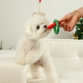 thumbnail image 5 of Durable Pet Chew Toy TPR Chew Ring for Teeth Grinding and Playful Entertainment, 5 of 5