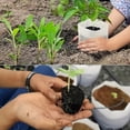 thumbnail image 6 of 100 Pack Fabric Seedling Pots, 3.2x4 in Non-Woven/Nursery Bags, Breathable Plant Starter Bags for Home Gardening, Eco-Friendly Seed Sprouting White, 6 of 7