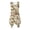 Western Cowboy Desert Print, variant on HELLHERO Puppy Ice Cream Pattern Sleeveless Sundress, Side Pockets Asymmetric Hem Midi Dress with Irregular Hem Round Neck for Graduation