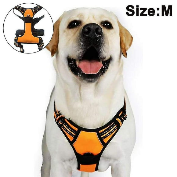 No-pull Dog Harness Padded Adjustable Pet Vest Harness Clip Harness