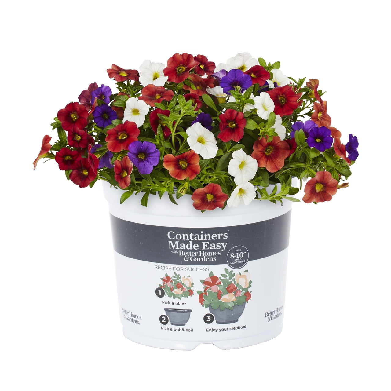 Better Homes & Gardens 16" Hawaiian Country Mix Live Plants in Pot (2 Count)