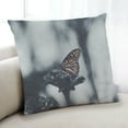 thumbnail image 1 of Ahgly Company Insects Butterfly Coussin d'Intérieur, 18 Pouces par 18 Pouces, 1 of 6