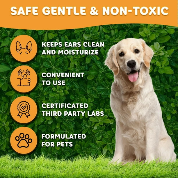 Petglow Dog Ear Cleaner Solution for Ear Infection Yeast Wax Debris Lavender 4 fl Oz