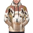 thumbnail image 2 of Bingfone Cute Alpaca in Daze Men's Drawstring Hoodie Long Sleeve Pocket Sweatshirts-Small, 2 of 6