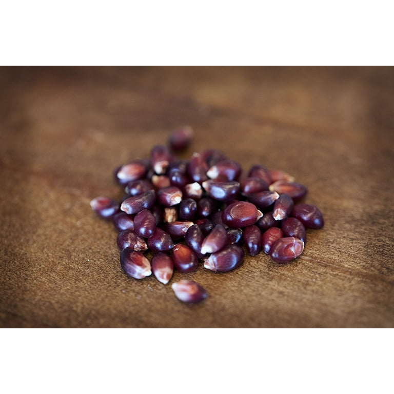 Amish Country Popcorn | 6 Lb Bag | Red Popcorn Kernels Old Fas