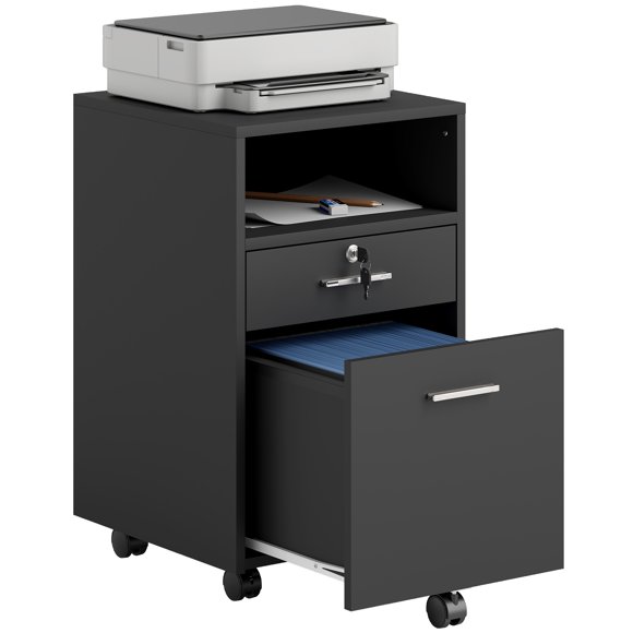 Vinsetto 2 Drawer Filing Cabinet with Lock for A4 Letter Size, Black