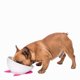 thumbnail image 4 of Cuenco de alimentación para perros de cerámica elevado,Cuencos para perros elevados ajustables antideslizantes,Plato de alimentación para mascotas de pie, 4 of 5