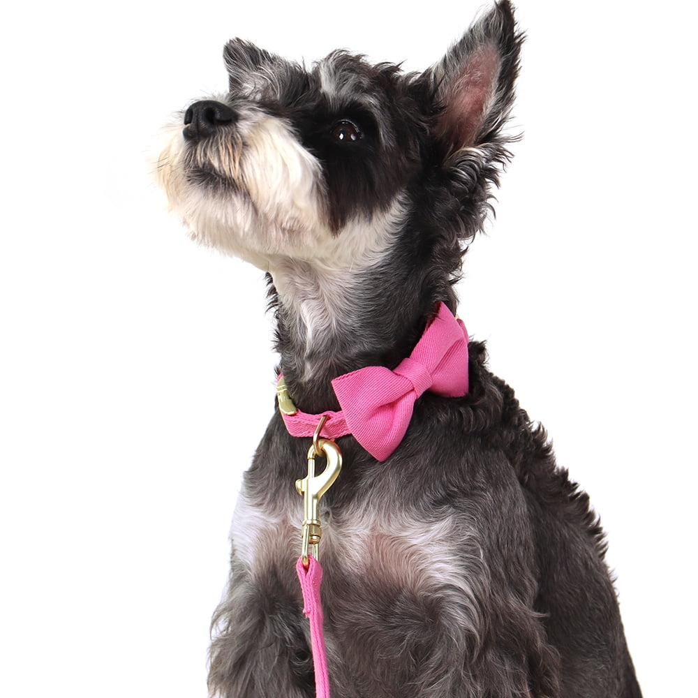 Pet Artist 4pcs Cute Bowtie Dog Harness and Collar and Leash and Poo Bag Holder Adjustable Pet Puppy Cat Vest