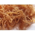 thumbnail image 2 of Bib Raw Irish Sea Moss - 1 LB, 2 of 4