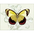 thumbnail image 2 of Davies, Susan 24x20 Gold Ornate Wood Framed with Double Matting Museum Art Print Titled - Butterfly Theme II, 2 of 4