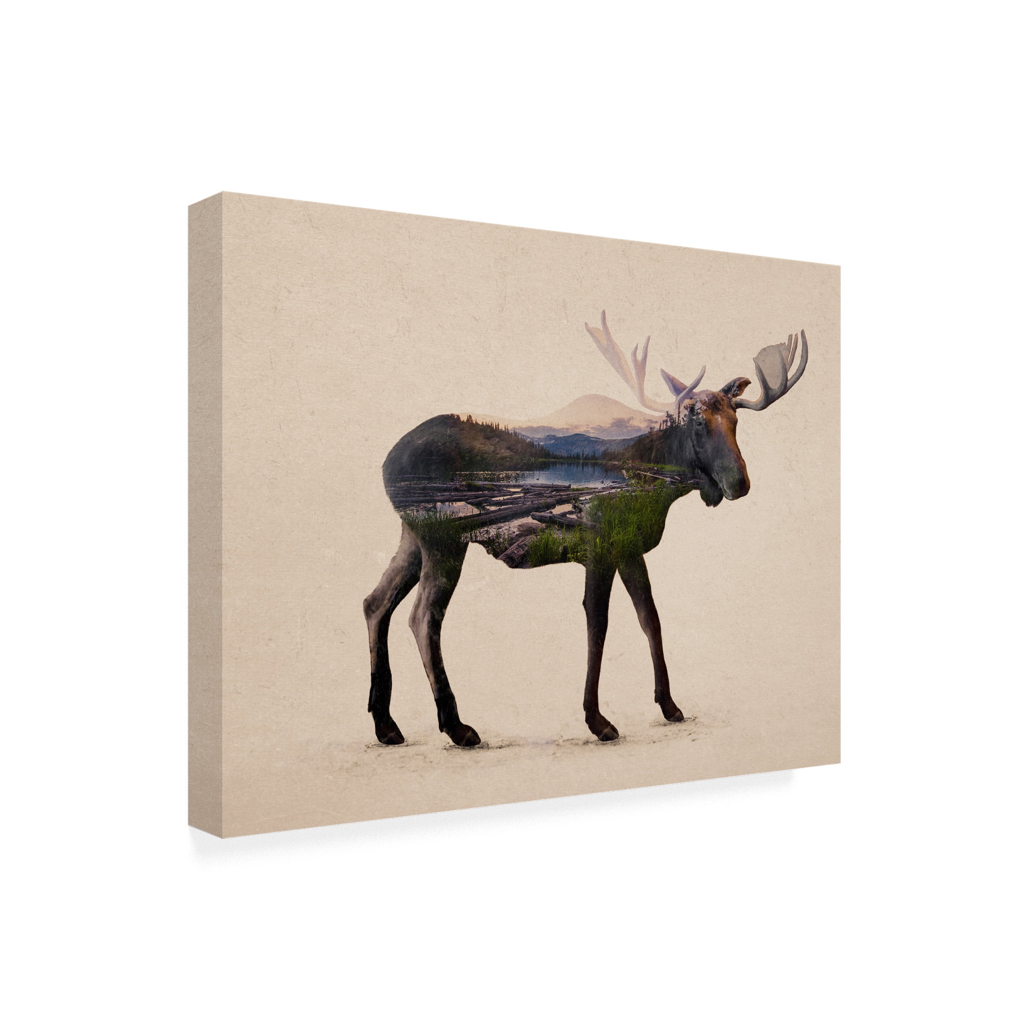 Trademark Fine Art 'The Alaskan Bull Moose' Canvas Art by Davies Babies