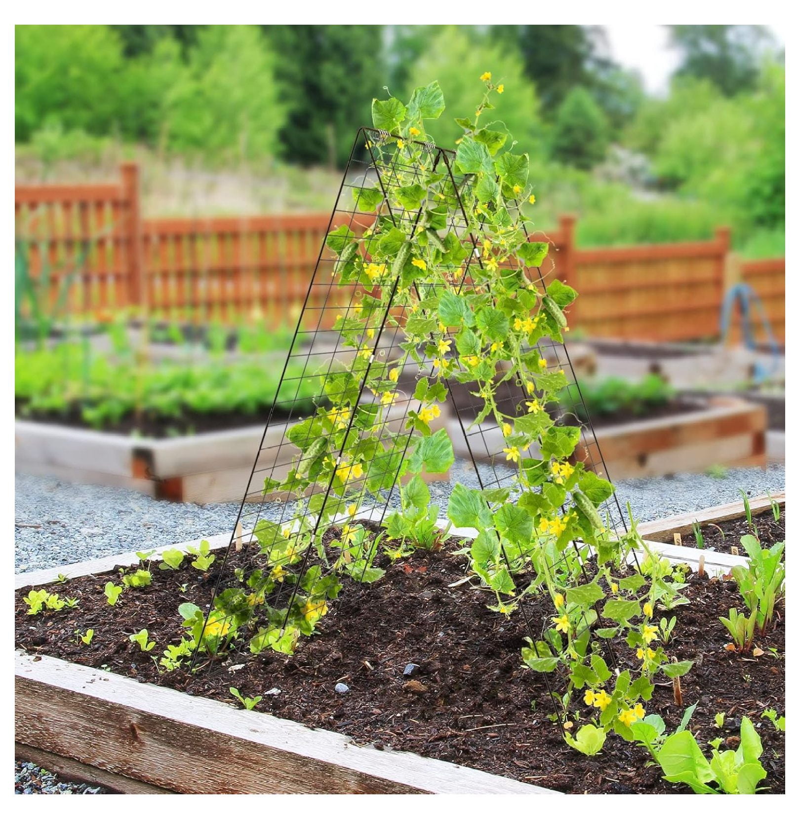 2-Pack Garden Cucumber Trellis, 46 x 34 inch Plant Support with Tie, Spiral Connectors, Cable Ties, Ground Stakes and Clips, Outdoor Garden Trellis for Climbing Plants