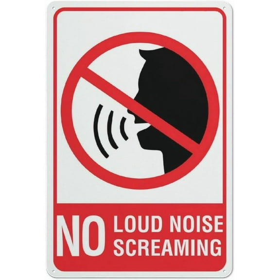 No Loud Noise No Screaming Sign 12 X 8 Inch Metal Sign, Rustproof Aluminum, Multicolor