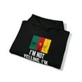 thumbnail image 4 of Cameroon Cameroonian Pride Flag Hoodie, Gifts, Hooded Sweatshirt, 4 of 4