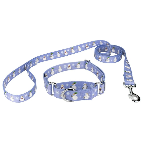 Country Brook Petz® 5/8 inch Snowman Martingale Dog Collar and Leash, Small