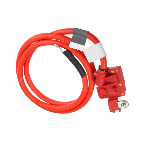 Positive Battery Terminal Fuse